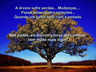 O melhor jeito_de_caminhar