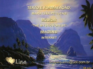 O melhor jeito_de_caminhar