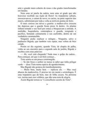 39
ante o grande muro coberto de rosas e das grades transformadas
em latadas.
Nem uma só janela da cadeia, nem uma só grade que não
houvesse recebido sua ração de flores! As trepadeiras subiam,
enroscavam-se, e caíam de novo; os cactos, na parte superior dos
muros, substituíam por toda a volta as terríveis pontas de ferro.
O mais curioso era talvez a guarita: a madres-silva crescera
tão depressa que o guarda ficara preso lá dentro. As plantas
tinham tomado o seu fuzil por estaca e bloqueavam a entrada. A
multidão, boquiaberta, contemplava o guarda, resignado e
pacífico, fumando calmamente o seu cachimbo, dentro de um
verdadeiro caramanchão.
Ninguém podia explicar o milagre... Ninguém, salvo o
jardineiro Bigode, que também veio espiar, mas voltou de bico
calado.
Porém no dia seguinte, quando Tistu, de chapéu de palha,
vinha ao seu encontro para a segunda aula de jardim, Bigode o
recebeu com estas palavras:
— Ah, você está chegando! Nada mau o golpe da cadeia...
Para começar, até que é um belo começo...
Tistu sentiu-se um pouco constrangido.
— Se não fosse o senhor eu nunca ia saber que tinha polegar
verde — disse Tistu numa espécie de agradecimento.
Mas Bigode não gostava de transbordamentos.
— Muito bem, muito bem — replicou ele. — Mas você
abusou da madressilva. É preciso ter em mente a aristolóquia. É
uma trepadeira que dá bem, mas de folha escura. Na próxima
vez, insista mais nos volúbeis, que dão uma nota de alegria.
Assim Bigode tornou-se "o conselheiro secreto de Tistu".
 