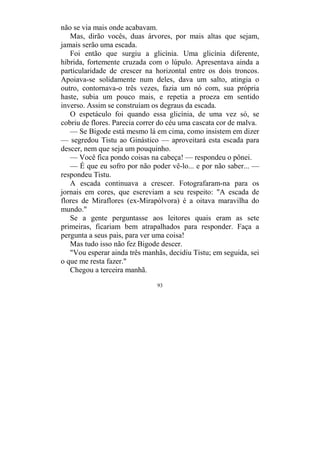 93
não se via mais onde acabavam.
Mas, dirão vocês, duas árvores, por mais altas que sejam,
jamais serão uma escada.
Foi então que surgiu a glicínia. Uma glicínia diferente,
híbrida, fortemente cruzada com o lúpulo. Apresentava ainda a
particularidade de crescer na horizontal entre os dois troncos.
Apoiava-se solidamente num deles, dava um salto, atingia o
outro, contornava-o três vezes, fazia um nó com, sua própria
haste, subia um pouco mais, e repetia a proeza em sentido
inverso. Assim se construíam os degraus da escada.
O espetáculo foi quando essa glicínia, de uma vez só, se
cobriu de flores. Parecia correr do céu uma cascata cor de malva.
— Se Bigode está mesmo lá em cima, como insistem em dizer
— segredou Tistu ao Ginástico — aproveitará esta escada para
descer, nem que seja um pouquinho.
— Você fica pondo coisas na cabeça! — respondeu o pônei.
— É que eu sofro por não poder vê-lo... e por não saber... —
respondeu Tistu.
A escada continuava a crescer. Fotografaram-na para os
jornais em cores, que escreviam a seu respeito: "A escada de
flores de Miraflores (ex-Mirapólvora) é a oitava maravilha do
mundo."
Se a gente perguntasse aos leitores quais eram as sete
primeiras, ficariam bem atrapalhados para responder. Faça a
pergunta a seus pais, para ver uma coisa!
Mas tudo isso não fez Bigode descer.
"Vou esperar ainda três manhãs, decidiu Tistu; em seguida, sei
o que me resta fazer."
Chegou a terceira manhã.
 