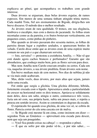 explicava ao pônei, que acompanhava os trabalhos com grande
interesse.
Duas árvores se ergueram, duas belas árvores esguias, de ramos
espessos. Em menos de uma semana tinham atingido trinta metros.
Cada manhã Tistu, fiel aos ensinamentos de Bigode, dirigia-lhes um
breve discurso. O método deu o melhor resultado.
As árvores eram de rara qualidade. O tronco, em sua elegância,
lembrava o eucalipto, mas com a dureza do jacarandá. As folhas eram
recortadas como as da parreira, e os frutos brotavam verticalmente, em
pequenos cones, como pinhas do pinheiro.
Mas quando as árvores passaram dos sessenta metros, as folhas de
parreira deram lugar a espinhos azulados, e apareceram botões de
veludo. Carolo disse então que as árvores eram de uma espécie muito
comum no seu país e a que chamavam sorveira.
— Isto, sorveira? — protestou a cozinheira Amélia. — Não vê que
está dando agora cachos brancos e perfumados? Garanto que são
abrunheiros, que conheço muito bem, pois as flores servem para doce.
Mas nem Amélia nem Carolo estavam errados ou certos. Cada um
via, naquelas árvores, a sua árvore predileta. Eram árvores sem nome.
Em breve mediam mais de cem metros. Nos dias de neblina já não
se via mais onde acabavam.
Mas, dirão vocês, duas árvores, por mais altas que sejam, jamais
serão uma escada.
Foi então que surgiu a glicínia. Uma glicínia diferente, híbrida,
fortemente cruzada com o lúpulo. Apresentava ainda a particularidade
de crescer na horizontal entre os dois troncos. Apoiava-se solidamente
num deles, dava um salto, atingia o outro, contornava-o três vezes,
fazia um nó com, sua própria haste, subia um pouco mais, e repetia a
proeza em sentido inverso. Assim se construíam os degraus da escada.
O espetáculo foi quando essa glicínia, de uma vez só, se cobriu de
flores. Parecia correr do céu uma cascata cor de malva.
— Se Bigode está mesmo lá em cima, como insistem em dizer —
segredou Tistu ao Ginástico — aproveitará esta escada para descer,
nem que seja um pouquinho.
— Você fica pondo coisas na cabeça! — respondeu o pônei.
— É que eu sofro por não poder vê-lo... e por não saber... —
 
