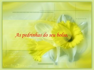 As pedrinhas do seu bolso, 