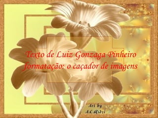 Texto de Luiz Gonzaga Pinheiro formatação: o caçador de imagens 
