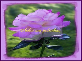 O bolso com pedrinhas, 