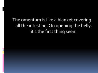 The omentum is like a blanket covering
all the intestine. On opening the belly,
it's the first thing seen.
 