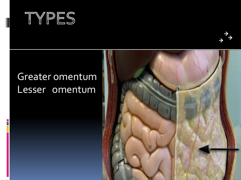 Omentum filza
