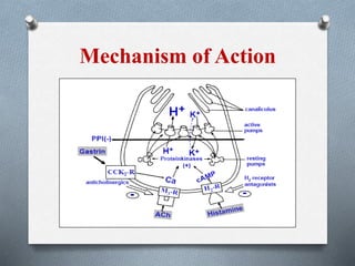 Mechanism of Action
 