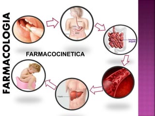 FARMACOCINETICA
 