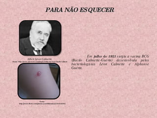 Em  julho de 1921  surgiu a vacina BCG (Bacilo Calmette-Guérin) desenvolvida pelos bacteriologistas Léon Calmette e Alphonse Guérin. Fonte: http://www.flickr.com/photos/carolblondon/2203648566/ Albert Léon Calmette Fonte: http://www.answers.com/topic/calmette-l-on-charles-albert PARA NÃO ESQUECER 