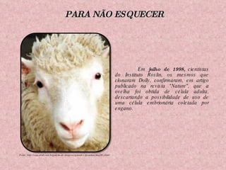 Em  julho de 1998,  cientistas do Instituto Roslin, os mesmos que clonaram Dolly, confirmaram, em artigo publicado na revista "Nature", que a ovelha foi obtida de célula adulta, descartando a possibilidade de uso de uma célula embrionária coletada por engano. PARA NÃO ESQUECER Fonte: http://veja.abril.com.br/galeria-de-imagens/grandes-facanhas/img08.shtml 