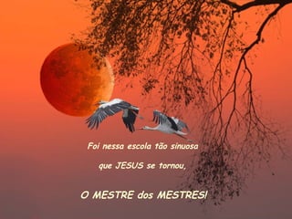 Foi nessa escola tão sinuosa que JESUS se tornou, O MESTRE dos MESTRES! 