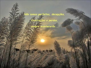 Não somos perfeitos, decepções, frustrações e perdas,  sempre acontecerão... 