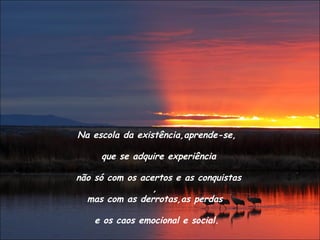 Na escola da existência,aprende-se,
que se adquire experiência
não só com os acertos e as conquistas
,
mas com as derrotas,as perdas
e os caos emocional e social.
 