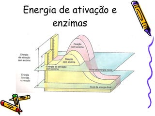 Energia de ativação e enzimas 
