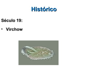 Histórico
Século 19:

• Virchow
 