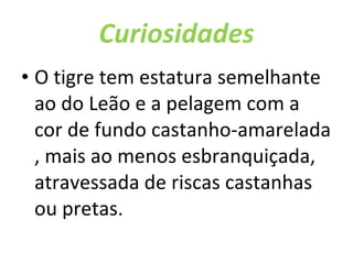 Curiosidades O tigre tem estatura semelhante ao do Leão e a pelagem com a cor de fundo castanho-amarelada , mais ao menos esbranquiçada, atravessada de riscas castanhas ou pretas. 