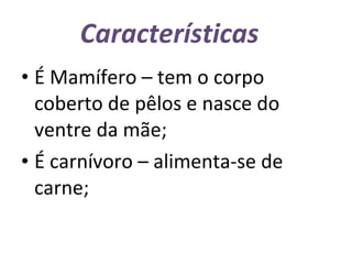Características  É Mamífero – tem o corpo coberto de pêlos e nasce do ventre da mãe; É carnívoro – alimenta-se de carne;  