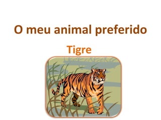O meu animal preferido Tigre  