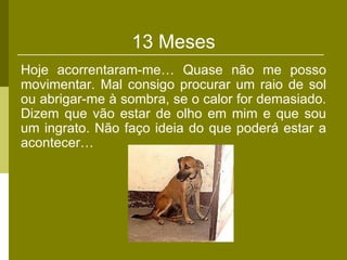 13 Meses
Hoje acorrentaram-me… Quase não me posso
movimentar. Mal consigo procurar um raio de sol
ou abrigar-me à sombra, se o calor for demasiado.
Dizem que vão estar de olho em mim e que sou
um ingrato. Não faço ideia do que poderá estar a
acontecer…
 