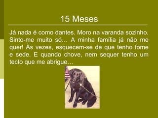 15 Meses
Já nada é como dantes. Moro na varanda sozinho.
Sinto-me muito só… A minha família já não me
quer! Às vezes, esquecem-se de que tenho fome
e sede. E quando chove, nem sequer tenho um
tecto que me abrigue…
 