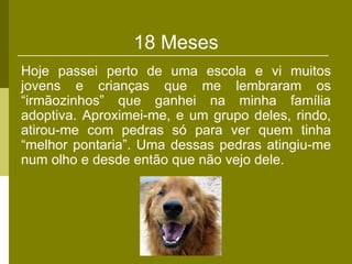 18 Meses
Hoje passei perto de uma escola e vi muitos
jovens e crianças que me lembraram os
“irmãozinhos” que ganhei na minha família
adoptiva. Aproximei-me, e um grupo deles, rindo,
atirou-me com pedras só para ver quem tinha
“melhor pontaria”. Uma dessas pedras atingiu-me
num olho e desde então que não vejo dele.
 