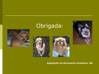 Obrigada!




   Adaptação de documento brasileiro. SB.
 