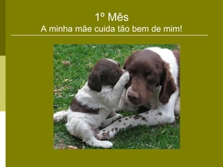 1º Mês
A minha mãe cuida tão bem de mim!
 