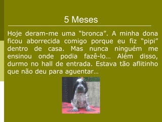 5 Meses
Hoje deram-me uma “bronca”. A minha dona
ficou aborrecida comigo porque eu fiz “pipi”
dentro de casa. Mas nunca ninguém me
ensinou onde podia fazê-lo… Além disso,
durmo no hall de entrada. Estava tão aflitinho
que não deu para aguentar…
 