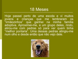 18 Meses Hoje passei perto de uma escola e vi muitos jovens e crianças que me lembraram os “irmãozinhos” que ganhei na minha família adoptiva. Aproximei-me, e um grupo deles, rindo, atirou-me com pedras só para ver quem tinha “melhor pontaria”. Uma dessas pedras atingiu-me num olho e desde então que não vejo dele. 