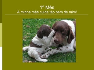 1º Mês A minha mãe cuida tão bem de mim! 