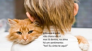 gato que é gato
não chora não ri
mas lá dentro, na alma
há um sentimento:
“hei! Eu sinto-te aqui!”
 