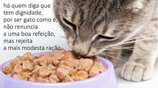 há quem diga que
tem dignidade,
por ser gato como é,
não renuncia
a uma boa refeição,
mas rejeita
a mais modesta ração.
 