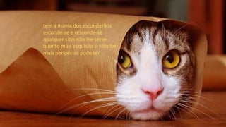 tem a mania dos esconderijos
esconde-se e resconde-se
qualquer sítio não lhe serve
quanto mais esquisito o sítio for
mais peripécias pode ter.
 