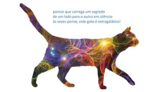 parece que carrega um segredo
de um lado para o outro em silêncio
às vezes penso, este gato é extragalático!
 