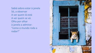 Sabiá adora estar à janela
Só, a observar
A ver quem lá está
A ver quem se vá.
Olha por olhar
à janela a admirar:
“como o mundo roda a
rodar!”
 