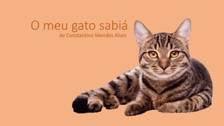 O meu gato sabiá
de Constantino Mendes Alves
 