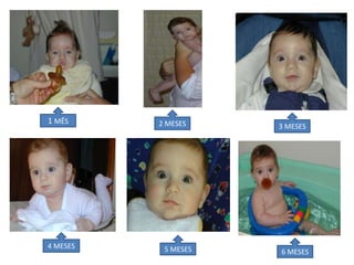 1 MÊS     2 MESES    3 MESES




4 MESES    5 MESES   6 MESES
 