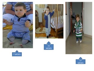 11
          MESES

7 MESES

                   17
                  MESES
 