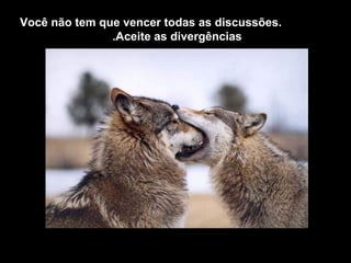 Você não tem que vencer todas as discussões.
               .Aceite as divergências
 