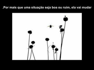 .Por mais que uma situação seja boa ou ruim, ela vai mudar
 