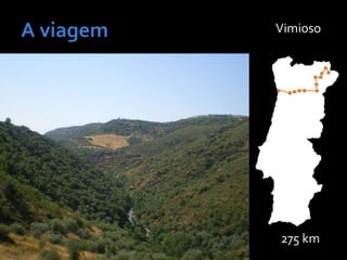 275 km
Vimioso
 