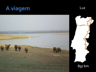 897 km
Luz
 