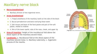 Maxillary nerve block
 Nerve Anesthetized
 Maxillary division of the trigeminal nerve.
 Areas Anesthetized
 1. Pulpal anesthesia of the maxillary teeth on the side of the block
 2. Buccal periodontium and bone overlying these teeth
 3. Soft tissues and bone of the hard palate and part of the soft
palate, medial to midline
 4. Skin of the lower eyelid, side of the nose, cheek, and upper lip
 Area of insertion: height of the mucobuccal fold above the
distal aspect of the maxillary second molar.
 Landmarks: a. Mucobuccal fold at the distal aspect of the
maxillary second molar. b. Maxillary tuberosity. c. Zygomatic
process of the maxilla.
 