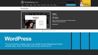 WordPress
The most powerful, versatile, easy to use, flexible Content Management System
available today. (Yeah, WordPress rocks and you should use it!)
 