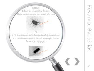 Resumo:Bactérias
5
Fímbrias
As fímbrias, uma espécie de cílios,
dão às bactérias, maior potência de aderência.
Pili
A Pili é uma espécie de fímbria, porém ela é mais extensa
e se relaciona com um dos tipos de reprodução de uma
bactéria, a conjugação.
 