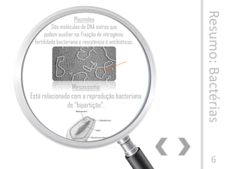 Resumo:Bactérias
6
Plasmídeo
São moléculas de DNA extras que
podem auxiliar na: Fixação de nitrogênio,
fertilidade bacteriana e resistência à antibióticos.
Mesossomo
Está relacionado com a reprodução bacteriana
de “bipartição”.
 