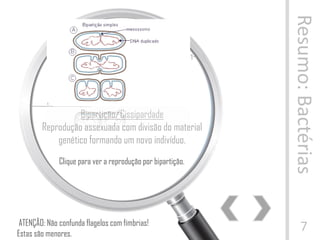 Resumo:Bactérias
7
Flagelo
Os flagelos promovem a locomoção
das bactérias. São feitos de material distin-
to de organismos eucarióticos.
REPRODUÇÃO
Bipartição/Cissipardade
Reprodução assexuada com divisão do material
genético formando um novo indivíduo.
ATENÇÃO: Não confunda flagelos com fímbrias!
Estas são menores.
Clique para ver a reprodução por bipartição.
 