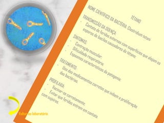 Voltar ao laboratório
 