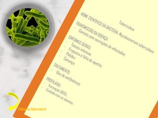 Voltar ao laboratório
 