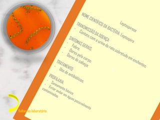 Voltar ao laboratório
 